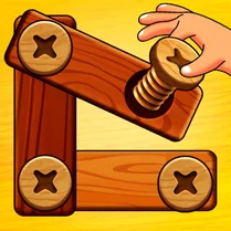 Play Bolts & Nuts Wood Screw Puzzle